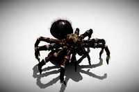 Furry Spider