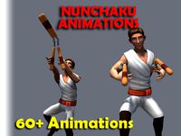 Nunchaku Animations