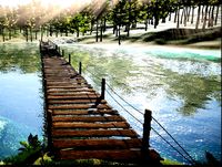 Shed, Tools, Bridge and Fences