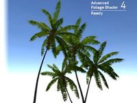 Coconut Palm Tree Pack