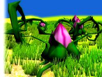 Strange Flower and Bramble