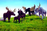 Poly Art: Moose