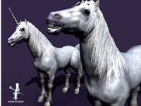 Unicorn