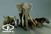 AFRICAN ANIMALS PACK