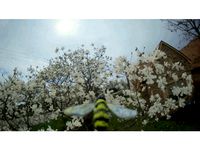 Bee Figure for Beta 85 Drone #FBeeV by SajedDosenbach