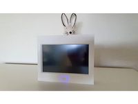 Universal Pi LCD box by sniperKE