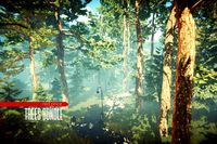 Trees Bundle (HDRP + URP)