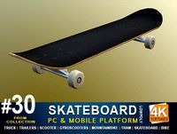Skateboard #30