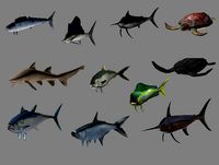 Saltwater fish vol 1
