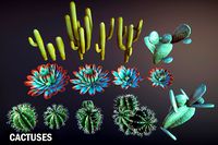 Cactuses