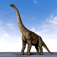 Brachiosaurus (Giraffatitan)