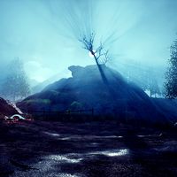 Raided Forest Camp