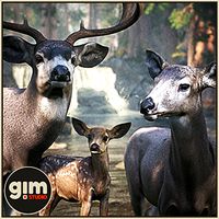 Animalia - MuleDeer (pack)