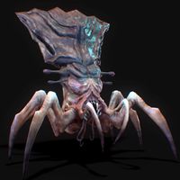 Arachnid