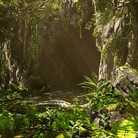 Rainforest Assets Pack