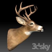 Deer head on his chest.