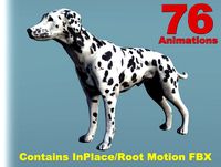 Dog Dalmatian II (Full)