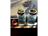 60mm Net Cup by theduckom
