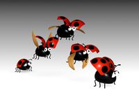 Ladybird Toon Animated