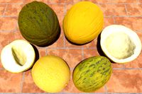 Melons Pack (Whole, Slices &amp; Halves)
