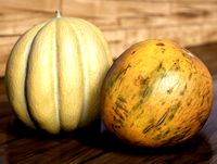 4k Scanned Melon