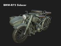 BMW-R75 Sidecar