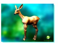Fawn