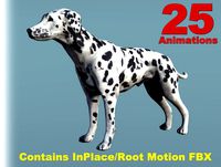 Dog Dalmatian II