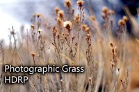 Photographic Grass HDRP