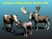 Forest Animal - Moose Family Bundle