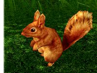 Squirrel Low Poly Model