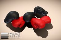 VR Hands: Boxing Gloves