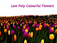 Low Poly Colourful Flowers