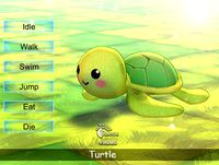 Turtle