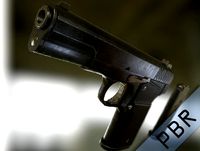 TT Gun
