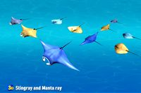 3D Stingray and Manta ray