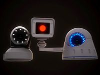 IP Cameras