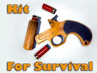 Survivor Set