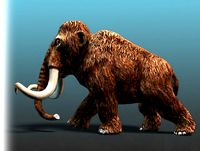 Cartoon Animal - Mammoth
