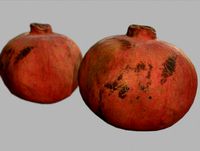 4K Scanned Pomegranate