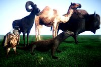 Animals Extra Pack Low Poly V2