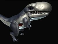 PBR HammerHead Whale Free