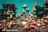 Big mushrooms