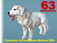 Dog - Tatra Sheepdog (Full)