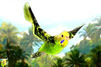 Bird Flock Parakeet