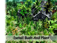 Detail Bush And Plant