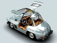 Cartoon Car Seagull