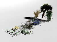 Nature Set 3D Model
