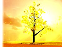 Stylised Nature-Unique Landscape