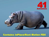 African Animal - Hippopotamus (Full)